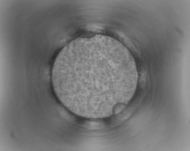 X0000115310466200911231333