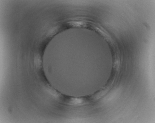 X0000115310469200911231333