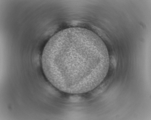 X0000115310470200911231333