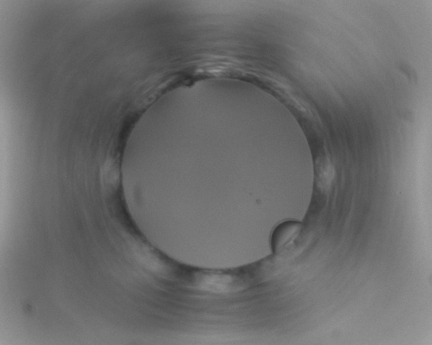 X0000115310471200911231333