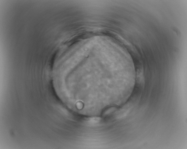 X0000115310474200911231333