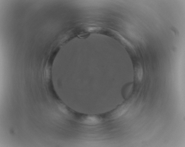 X0000115310475200911231333