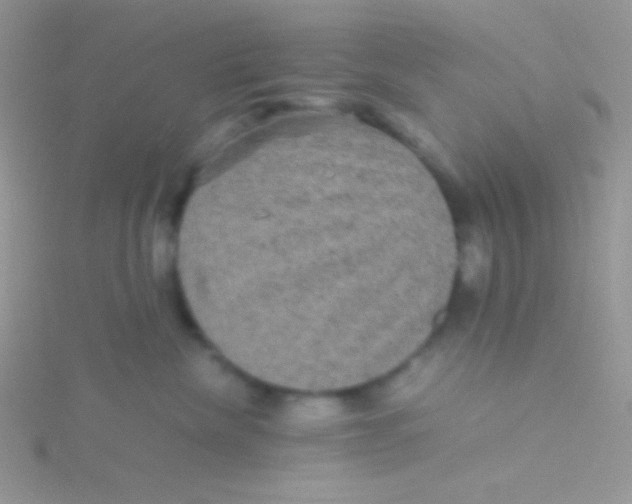 X0000115310476200911231333