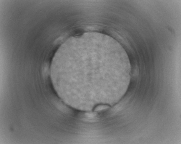 X0000115310478200911231333