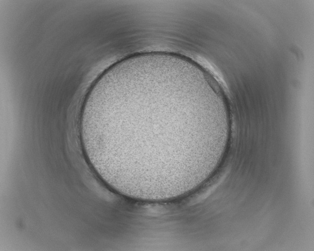 X0000115310481200911231332