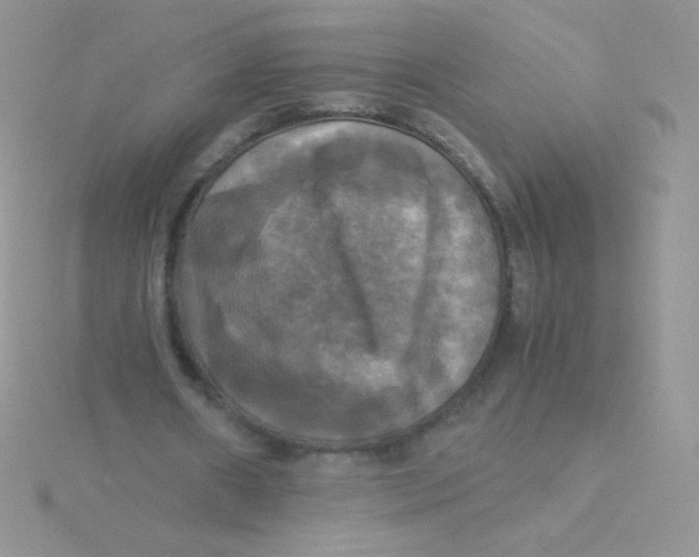 X0000115310482200911231332