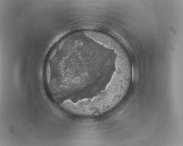 X0000115310483200911231332