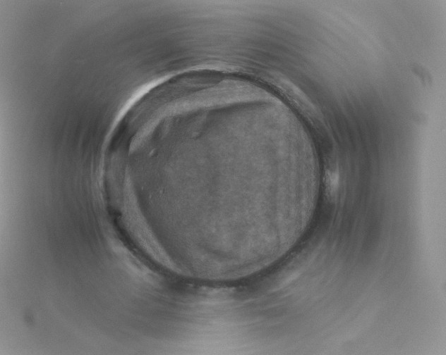 X0000115310484200911231332