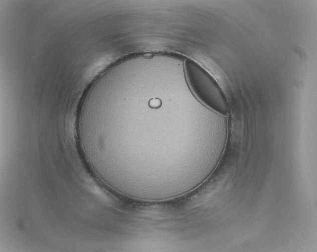 X0000115310485200911231332