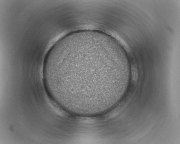 X0000115310486200911231332