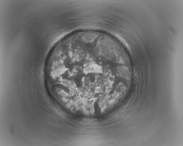 X0000115310487200911231332