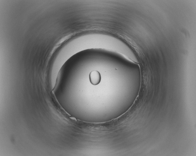 X0000115310488200911231332