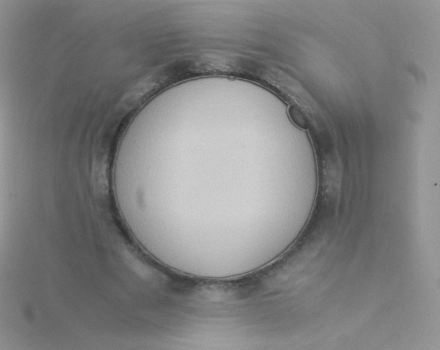 X0000115310489200911231332