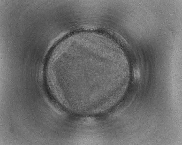 X0000115310492200911231332