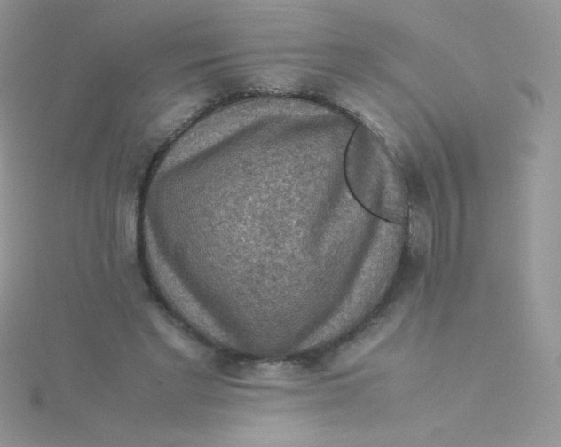 X0000115310493200911231332