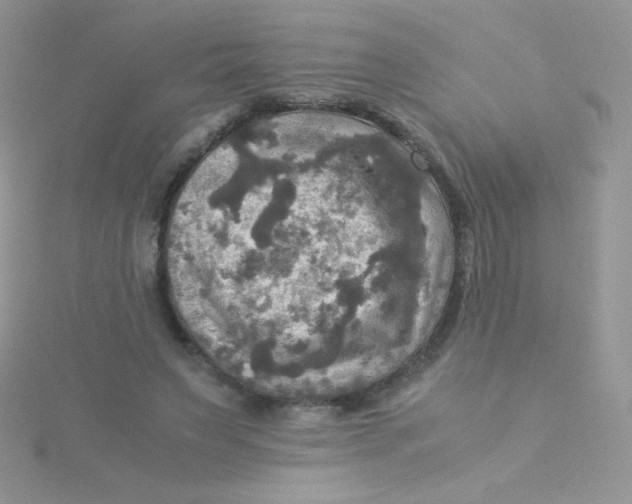 X0000115310495200911231332