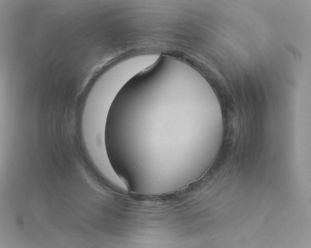 X0000115310496200911231332