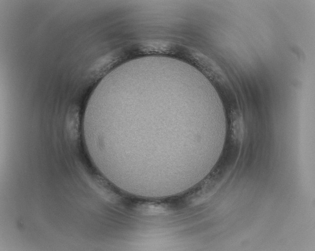 X0000115310498200911231332