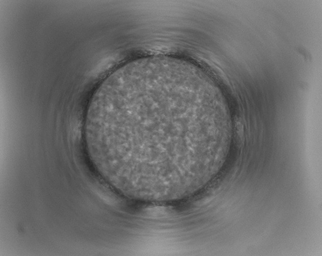 X0000115310499200911231332