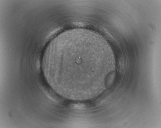 X0000115310500200911231332