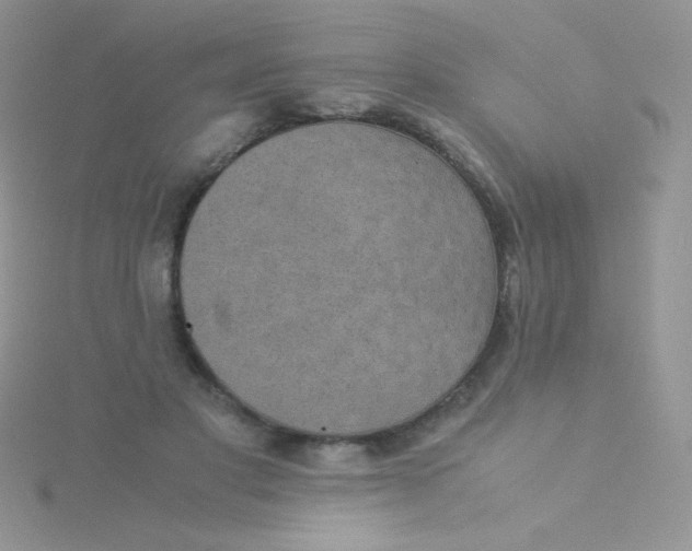 X0000115310501200911231332