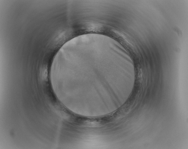 X0000115310502200911231332