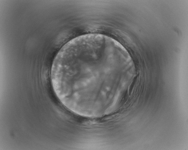 X0000115310503200911231332