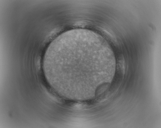 X0000115310504200911231332