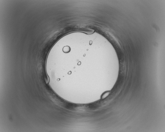 X0000115310505200911231332