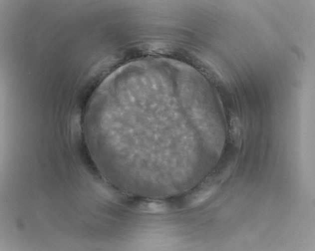 X0000115310506200911231332