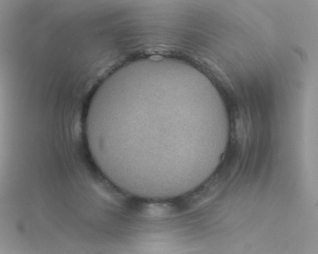 X0000115310508200911231332