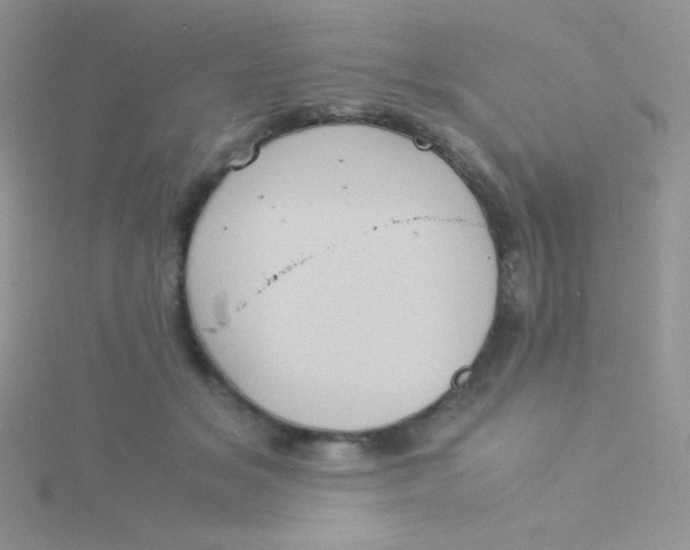 X0000115310509200911231332