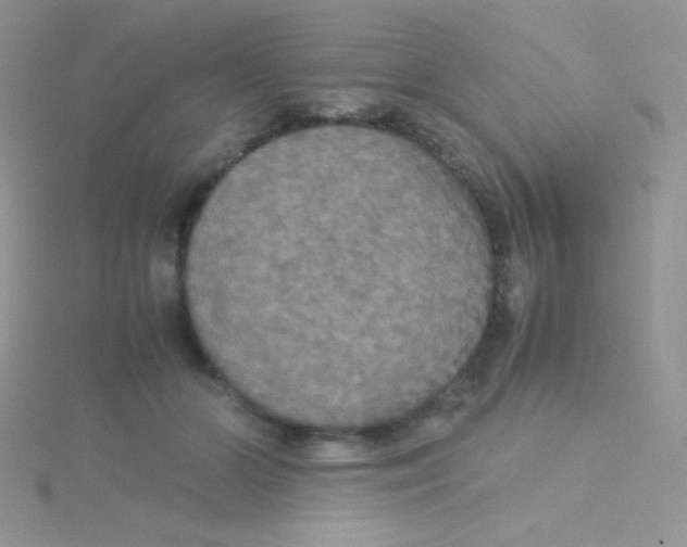 X0000115310510200911231332