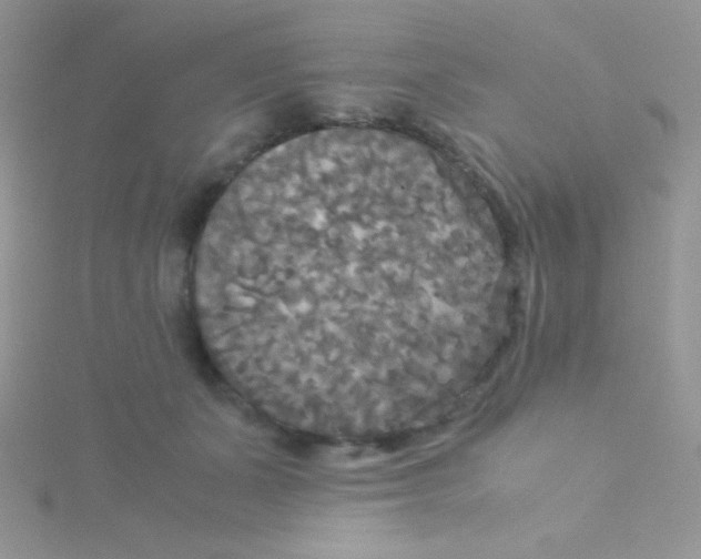 X0000115310511200911231332