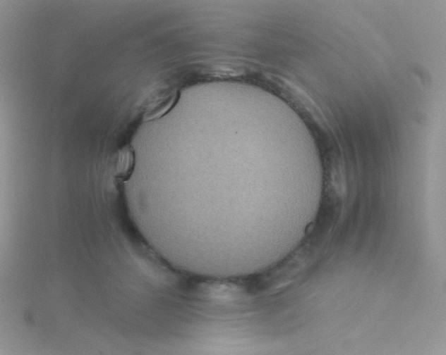 X0000115310512200911231332