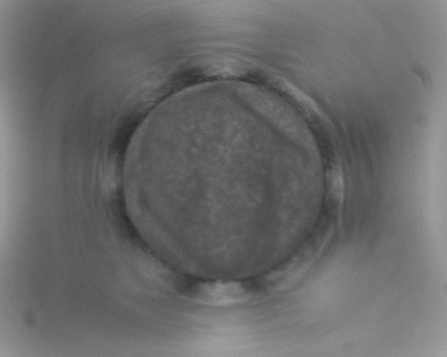 X0000115310517200911231332