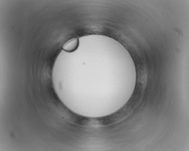 X0000115310518200911231332