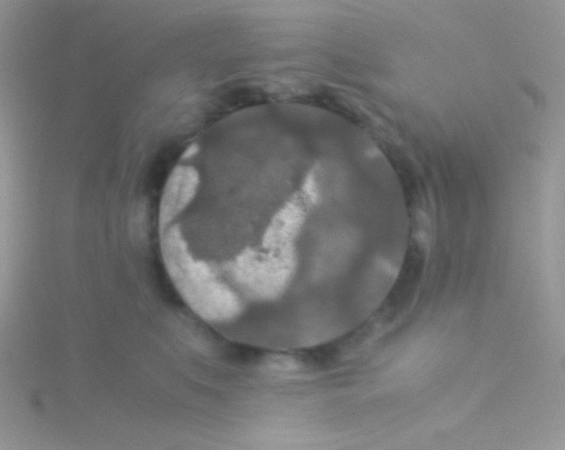 X0000115310519200911231332