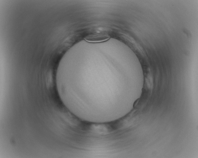 X0000115310520200911231332