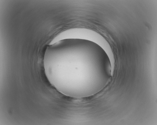 X0000115310521200911231332