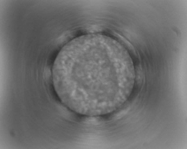 X0000115310523200911231332