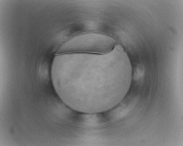 X0000115310524200911231332