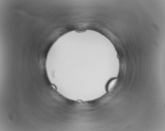 X0000115310525200911231332