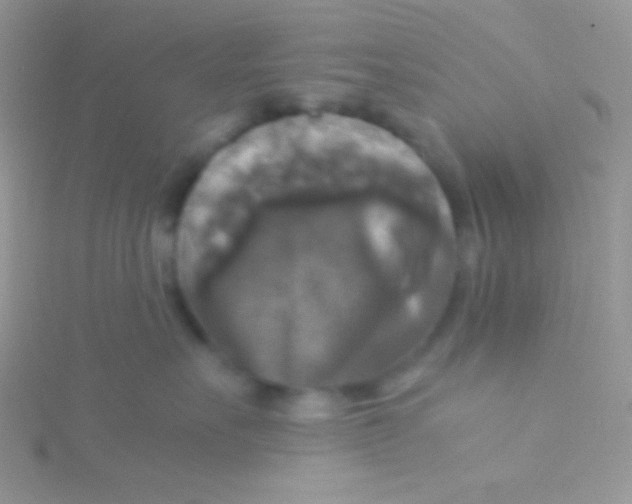 X0000115310527200911231332