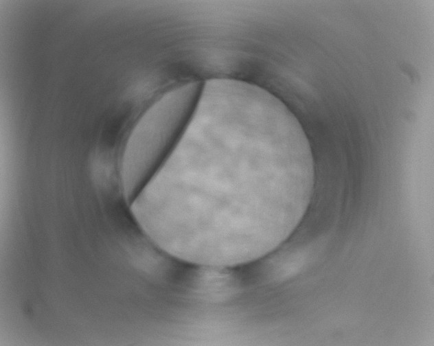 X0000115310528200911231332