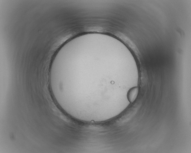 X0000115310529200911231331