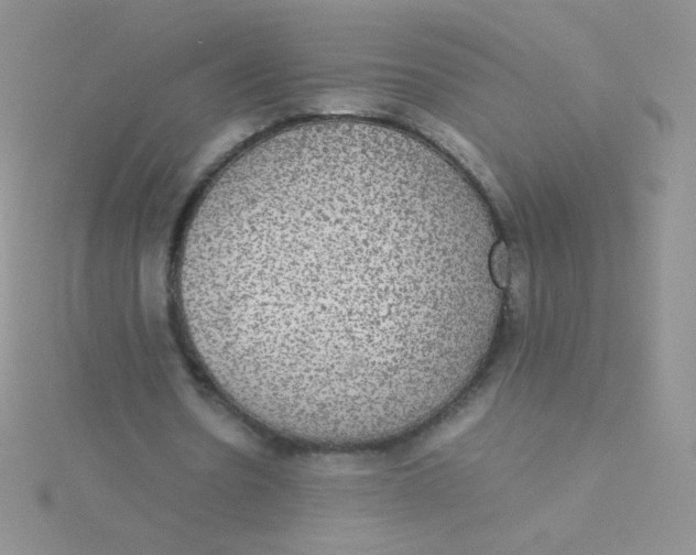 X0000115310530200911231331