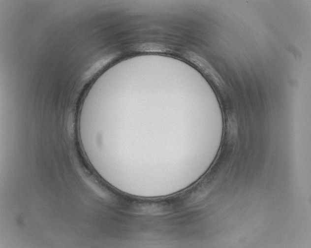 X0000115310533200911231331