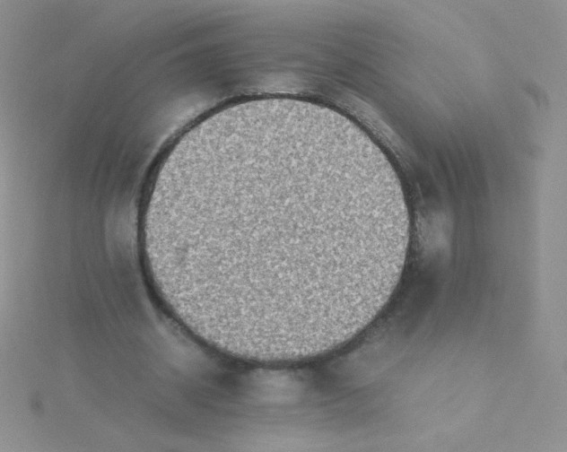 X0000115310534200911231331