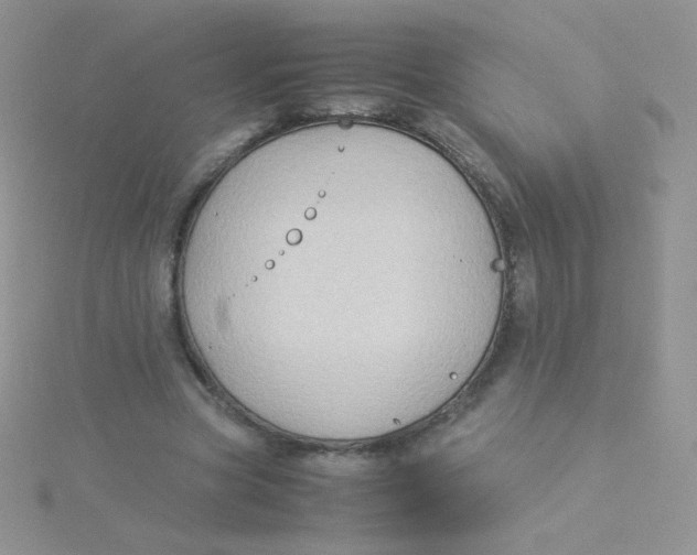 X0000115310537200911231331